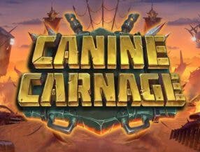 pinnacle studio 20 download